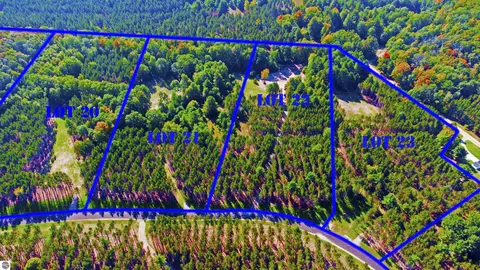 Unit 22 NW Dockery Road, Williamsburg, MI 49690
