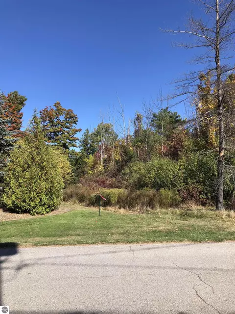 APT 4 Lamoreaux Drive, Elk Rapids, MI 49629