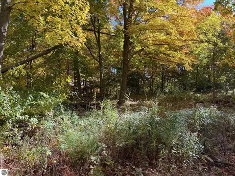 10-010 Burr St, Benzonia, MI 49616
