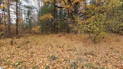 00 Morrison Rd, Alger, MI 48610 photo 2