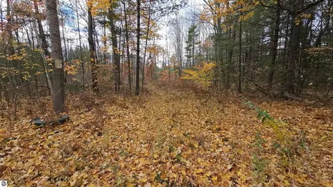00 Morrison Rd, Alger, MI 48610 photo 3