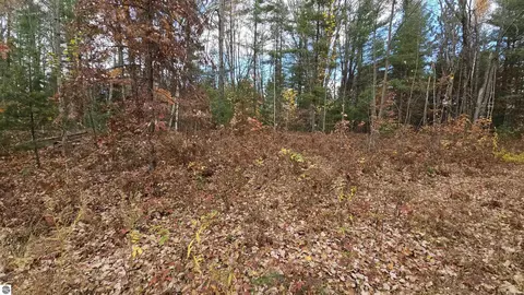 00 Morrison Rd, Alger, MI 48610 photo 5