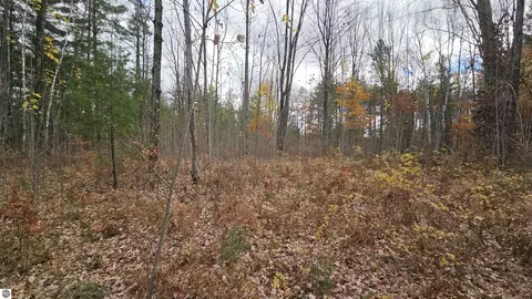 00 Morrison Rd, Alger, MI 48610 photo 8