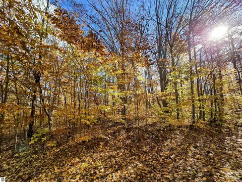 249 Wyndfield Dr, Mancelona, MI 49659
