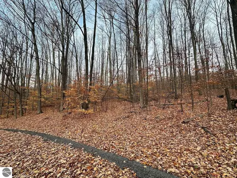 lot23 Schutzen Ln, Bellaire, MI 49615