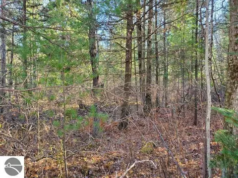 0 Hull Rd, Omer, MI 48749 photo 6