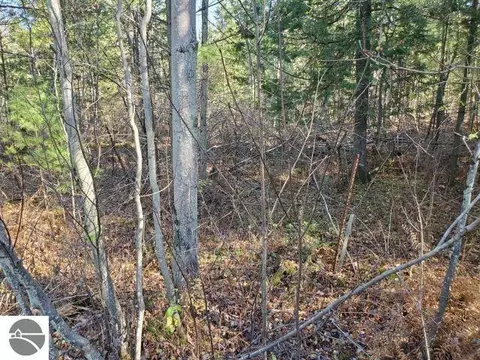 0 Hull Rd, Omer, MI 48749 photo 9