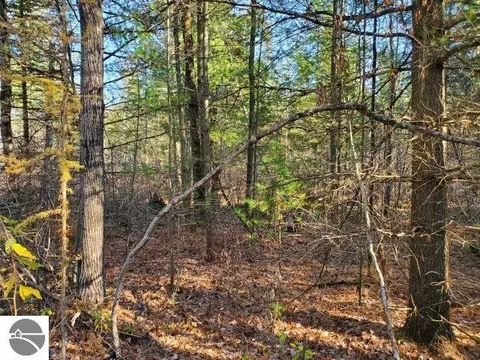 0 Hull Rd, Omer, MI 48749 photo 7