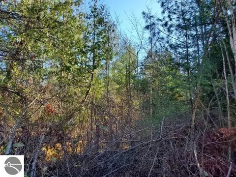 0 Hull Rd, Omer, MI 48749 photo 5