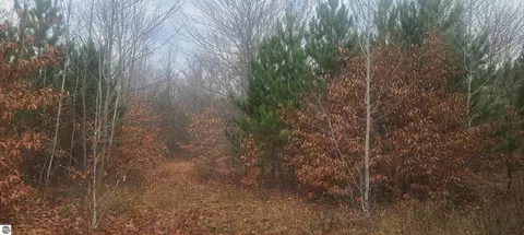 0000 Pontius Rd, Kalkaska, MI 49646