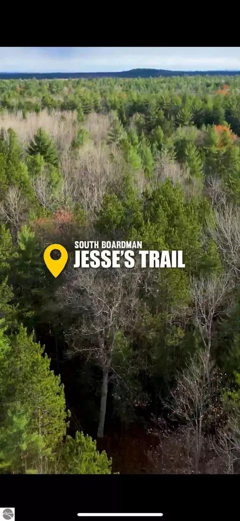 C SW Jesses Trail, South Boardman, MI 49680