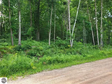 tbd N Coldwater Rd, Weidman, MI 48858