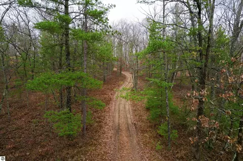V/l W Jones Lake Road, Grayling, MI 49738