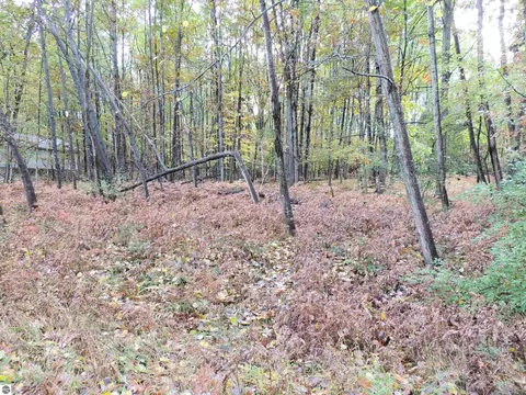 1014 Granada Dr, Lake Isabella, MI 48893