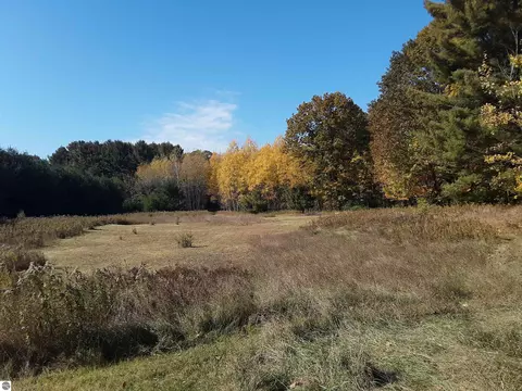 N Everett Road, Harrisville, MI 48740