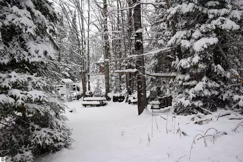 2950 Lance Lake Rd, Wolverine, MI 49799 photo 49