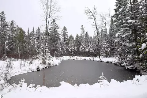 2950 Lance Lake Rd, Wolverine, MI 49799 photo 52