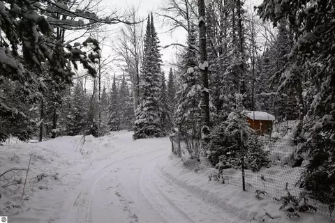 2950 Lance Lake Rd, Wolverine, MI 49799 photo 51