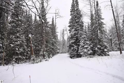 2950 Lance Lake Rd, Wolverine, MI 49799 photo 54
