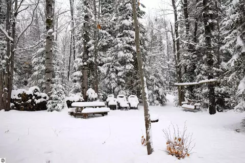 2950 Lance Lake Rd, Wolverine, MI 49799 photo 50
