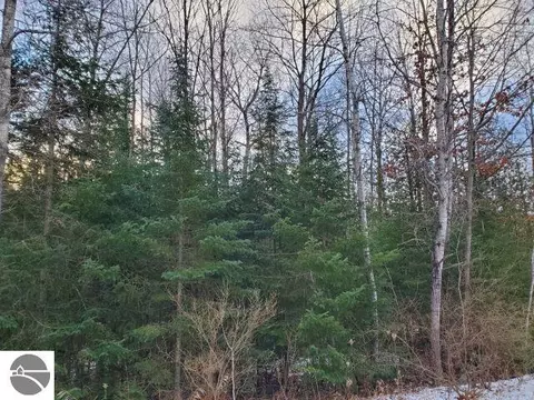 0 Sage Lake Rd, Lupton, MI 48635 photo 3