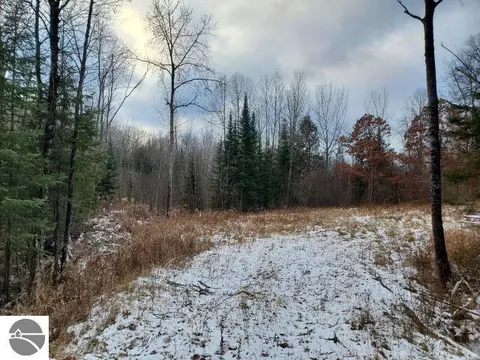 0 Sage Lake Rd, Lupton, MI 48635 photo 4