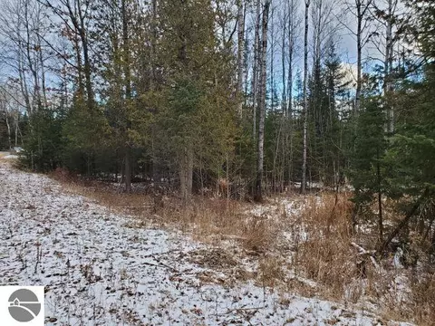 0 Sage Lake Rd, Lupton, MI 48635 photo 7