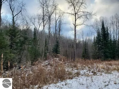 0 Sage Lake Rd, Lupton, MI 48635 photo 6