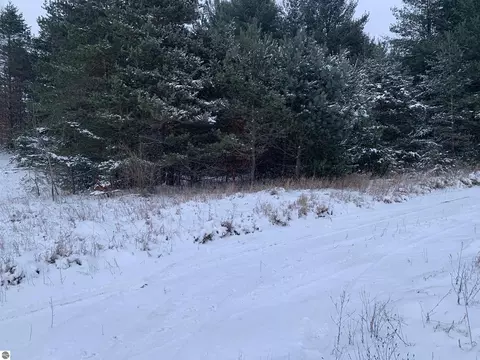 000 N Dickerson Rd, Lake City, MI 49651