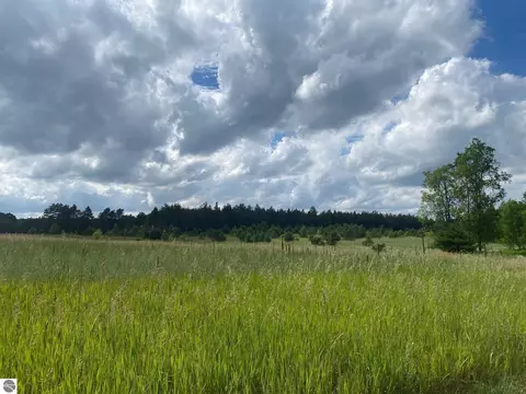 E 40 Road, Cadillac, MI 49601