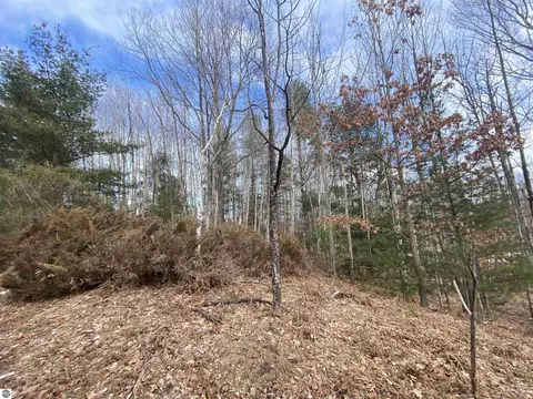 lot31 Scenic Hills Dr, Williamsburg, MI 49690