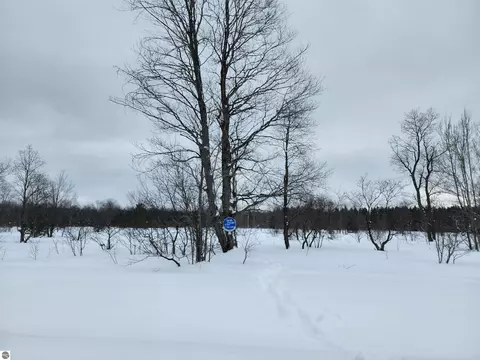 lot161 Wyckerly Dr, Mancelona, MI 49659