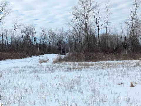 N/a Swenson Road, Au Gres, MI 48703 photo 12