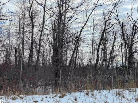 N/a Swenson Road, Au Gres, MI 48703 photo 4