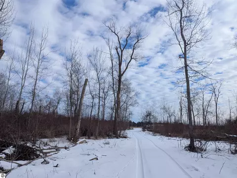 N/a Swenson Road, Au Gres, MI 48703 photo 6