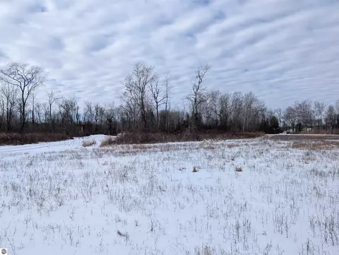N/a Swenson Road, Au Gres, MI 48703 photo 11
