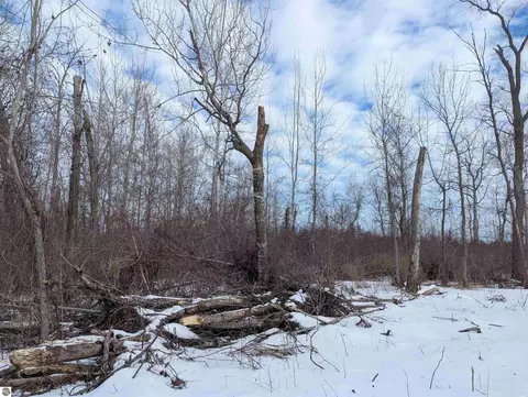 N/a Swenson Road, Au Gres, MI 48703 photo 5