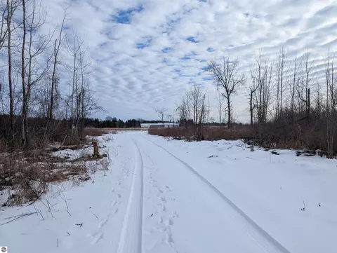 N/a Swenson Road, Au Gres, MI 48703 photo 2