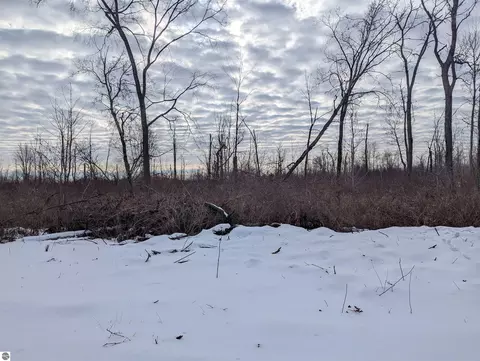N/a Swenson Road, Au Gres, MI 48703 photo 8