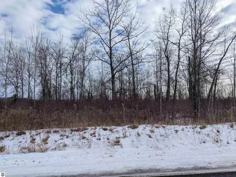 N/a Swenson Road, Au Gres, MI 48703 photo 3