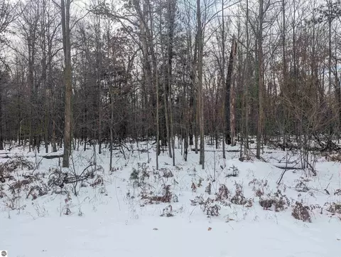 N/a Georgia Edna Lane, Prescott, MI 48756