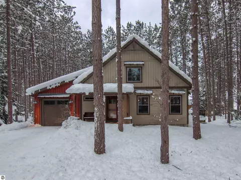7938 Otsego Ct, Thompsonville, MI 49683