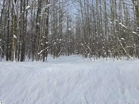 0 Cinder Hill Rd, Mancelona, MI 49659