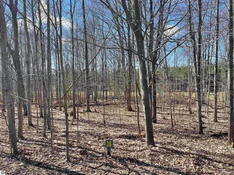 000- Unit 36 Woodspath Way, Thompsonville, MI 49683