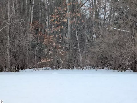 N/a Court Street, Au Gres, MI 48703