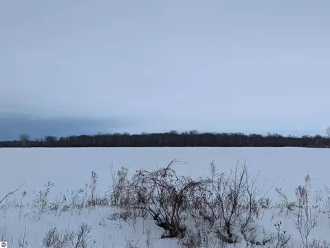 N/a Swenson Road, Au Gres, MI 48703 photo 8