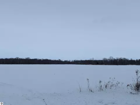 N/a Swenson Road, Au Gres, MI 48703 photo 2