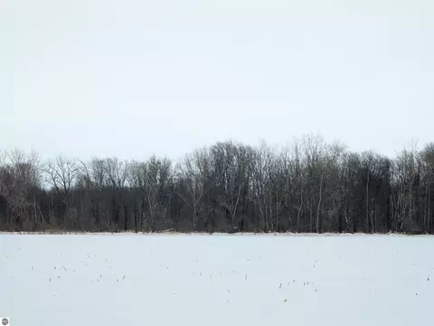 N/a Swenson Road, Au Gres, MI 48703 photo 11