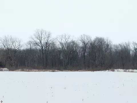 N/a Swenson Road, Au Gres, MI 48703 photo 6