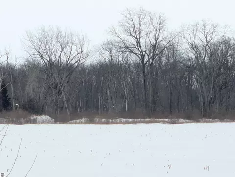 N/a Swenson Road, Au Gres, MI 48703 photo 5